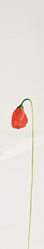 Perfume Kenzo Flower 3.3 Onzas para Mujer