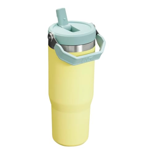 Termo de Acero Inoxidable Stanley Pomelo con Popote Abatible