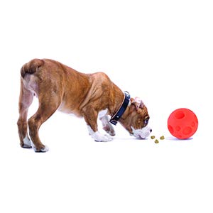 Pelota para Premios Tricky Medium
