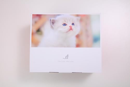 Fuente de Agua FEELNEEDY Negra Inalámbrica Ultra Silenciosa con Sensor de Movimiento y 2 Filtros para Gatos y Perros