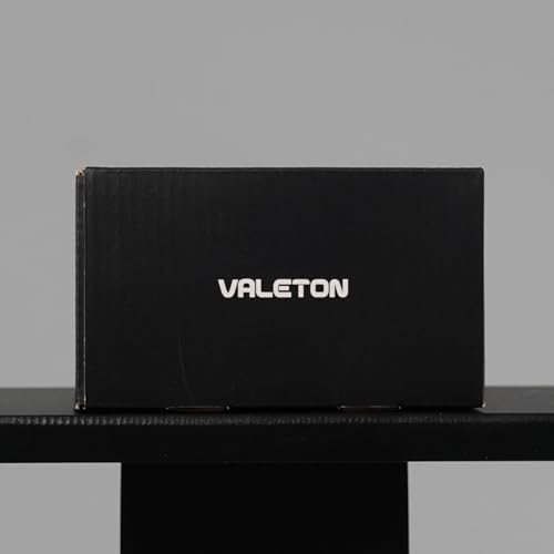 VALETON Looper - Pedal de doble pista estéreo para guitarra, bajo, teclado, máquina de batería de voz, 99 espacios de almacenamiento de proyectos, soporte de software VLP-200 (incluido 1 cable TS