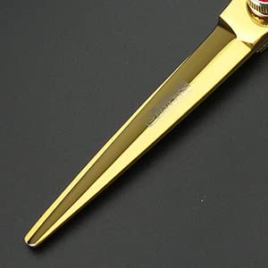 Juego de tijeras profesionales de peluquería de 6 pulgadas, cortapelos de acero inoxidable familiar(6 inches, 2 pieces-D)