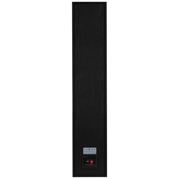 Altavoces de Torre Dayton Audio Negro Classic T65