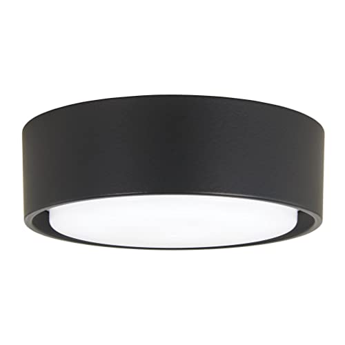 Kit de Luz Simple Minka-Aire Carbón para F787