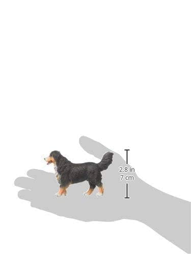 Collecta Bernese Mountain - Juguete para Perro