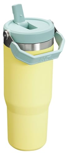 Vaso Stanley Toronja con Popote Abatible y Asa de 30 Onzas en Acero Inoxidable Aislado