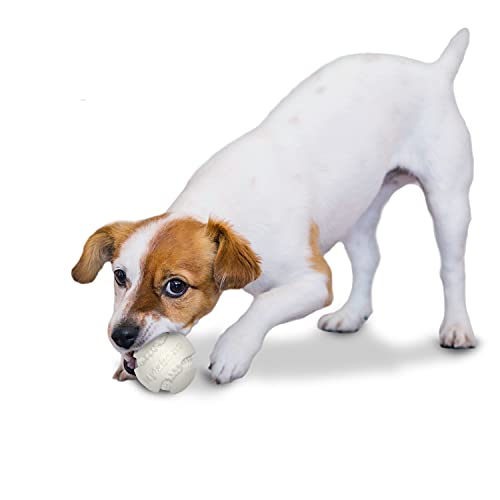 Juguete Nylabone Power Play Baseball
