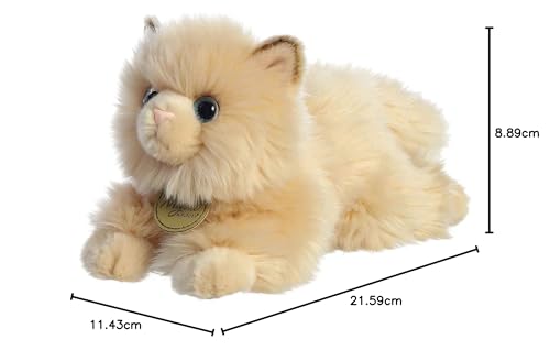 Gato Persa TheMogan Aurora Miyoni 21.59cm