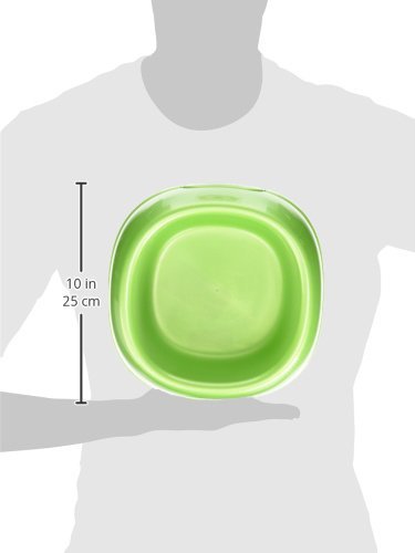 Plato Jumbo Economico Surtido 64 Oz