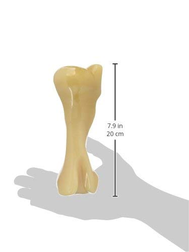 Juguete Duradero Tipo Hueso Nylabone Grande Especial para Razas Grandes