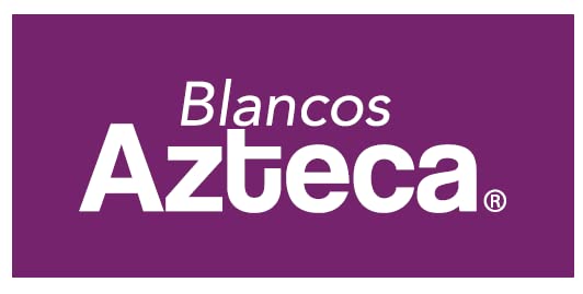 Azteca Almohadas 2 Pack Tamaño Estandar (65 x 43 cm) Densidad Media de 570gr Cada una. Almohada Hipoalergenica y Ultra Suave. para Fundas Individual, Matrimonial y Queen Size.