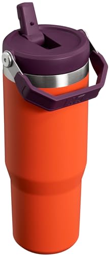Vaso Stanley Ciruela Tigerlily con Pajita Abatible y Asa, 30 Onzas, Acero Inoxidable Aislado Resistente a Fugas