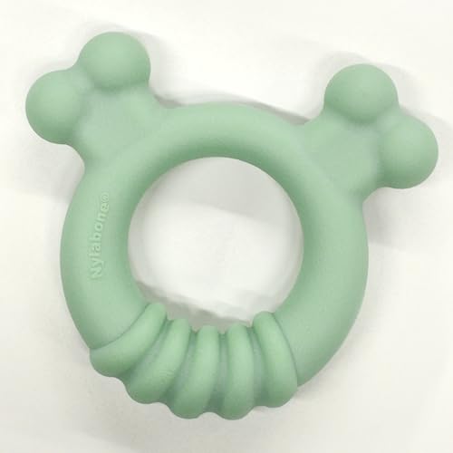 Anillo de Juguete Sensorial Nylabone Sabor a Pollo pequeño para Cachorros