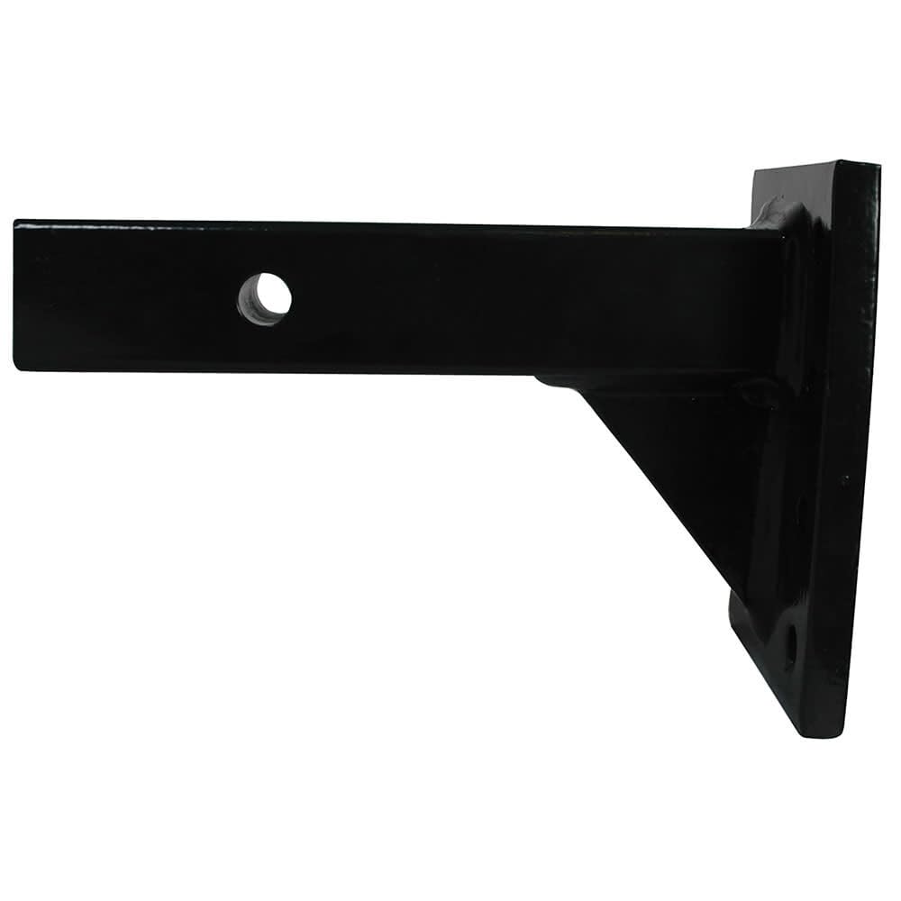 Reese Towpower 74281 - Soporte para Gancho