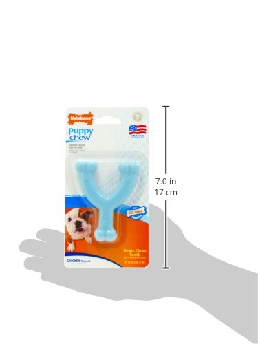 Juguete Masticable para Cachorros Nylabone Azul Petite Wishbone