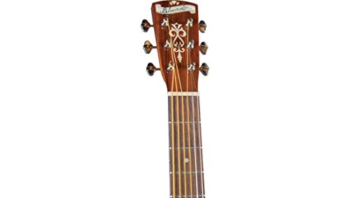 Blueridge BR-60 Guitarra acorazada de la serie contemporánea