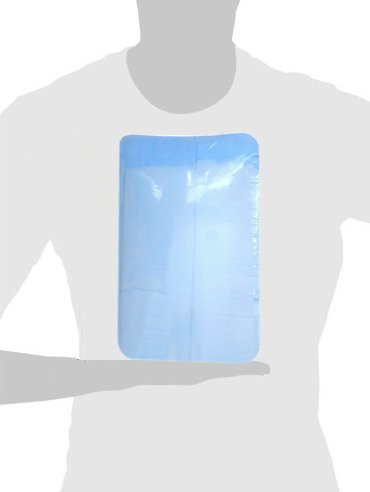 Baby Diaper Changing Table Underpad Liner - Economy Pack 50 Count (17Wx24L) - Absorbent Hospital Pad Liner for Incontinence and Moisture Protection - Waterproof Chux by BrightCare