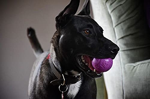 Chew King Fetch Balls - Juguete de Goma Natural Extremadamente Duradero de 2.5 Pulgadas, Paquete de 8 (CM-0264-CS01)