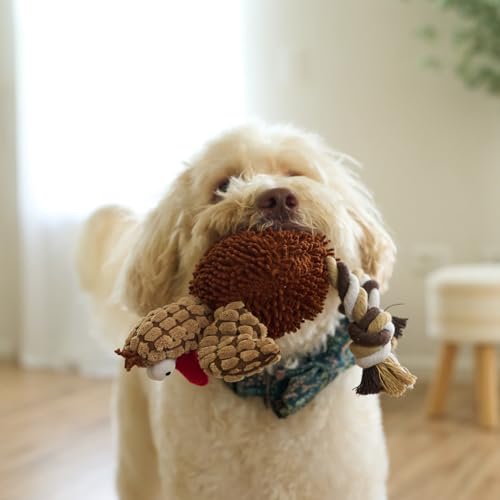 Juguete para Perros Ethical Pets Pollo Gigglers Multicolor