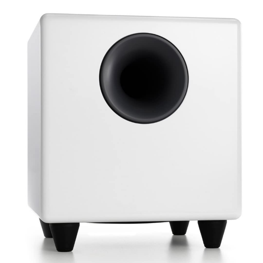 Audioengine S8: Altavoz subwoofer de 250 W con Amplificador Integrado para Audio doméstico