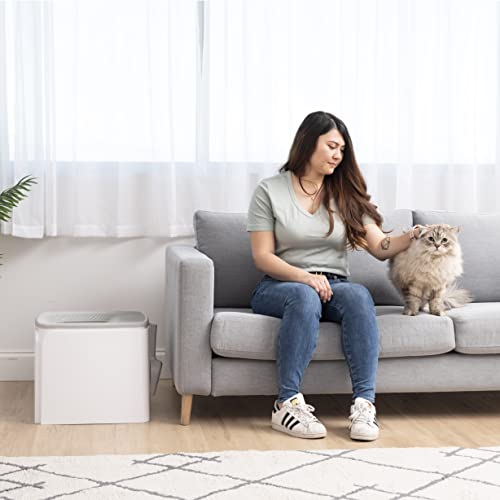 Caja de Arena para Gatos IRIS USA Blanco Gris de Alta Calidad con Entrada Superior y Control de Olores