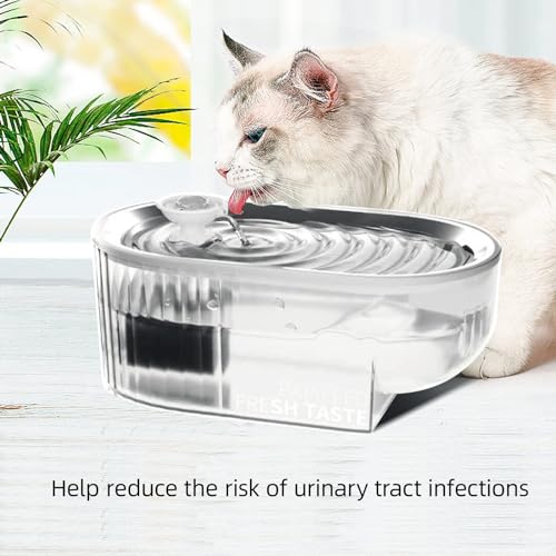 Filtro de Fuente para Gatos PAPIFEED Acero Inoxidable 304 con 10 Filtros de Repuesto y 4 Prefiltros