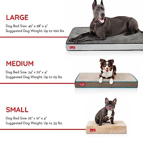 Cama para perro ortopédica de Memory Foam de 10 cm Brindle: cubierta de velvetón extraíble con lino impermeable, tamaño mediano, color caqui, 86 x 56 cm