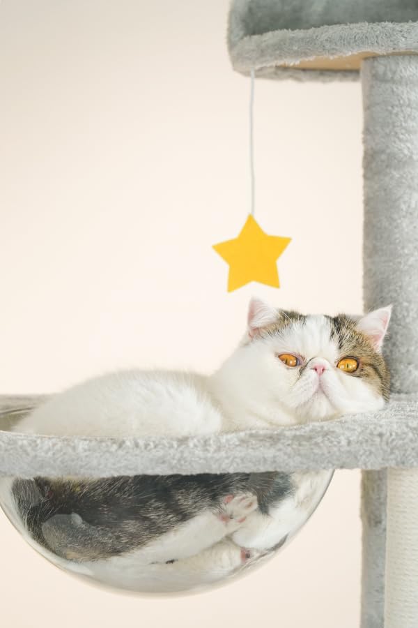 Rascador para Gatos UNA MASCOTA Gris con Diseño de Queso Varios Niveles 170CM