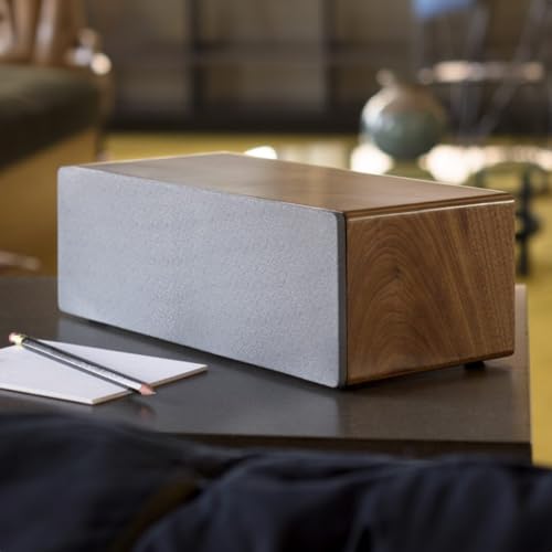 Audioengine A2 AIO Altavoz de estantería Bluetooth inalámbrico portátil con aptX HD