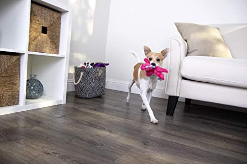 GoDog Dragons con tecnología de protección para masticar, Rosado, Pequeño