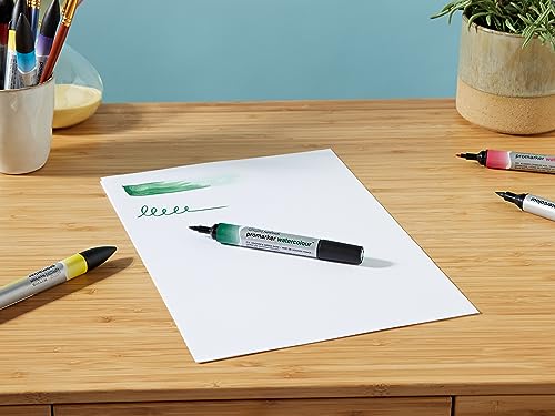 Winsor & Newton 290165 Promarker - Rotulador de acuarela, juego de 12, tonos básicos, 12 unidades