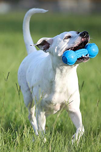 Juguete para Masticar Nerf Dog Azul Mediano