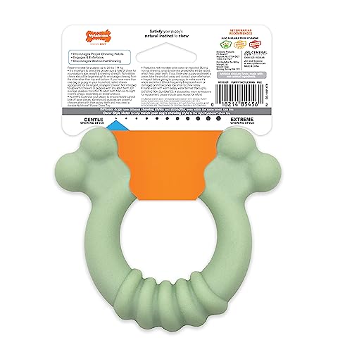 Anillo de Juguete Sensorial Nylabone Sabor a Pollo pequeño para Cachorros