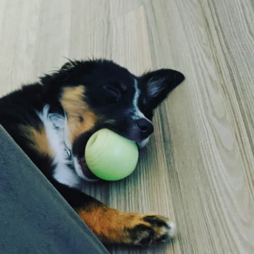 Chew King Ball, 2 Piece Glowing Fetch Ball, Dog Ball Toys, Fits Ball Launcher