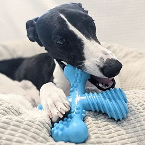 Juguete para Masticar Nylabone Dura Chew "X" Sabor Res para Perro