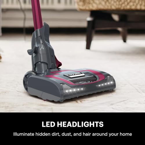 Shark HV371 Rocket Pro DLX - Aspiradora de Mano extraíble, dirección giratoria Avanzada, Taza XL, Herramienta de Grietas, Herramienta de tapicería y Cepillo para Polvo antialérgeno, Fucsia, Capacidad