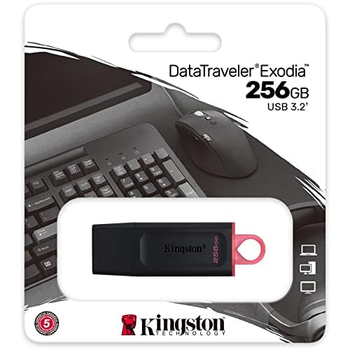 Kingston USB DTExodia 256GB USB 3.2 Gen 1 (DTX/256GB)