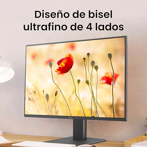 BenQ Monitor GW2491 23.8” 1080p FHD 100Hz IPS HDMI DP Tecnologías para el Cuidado de la Vista Bisel Ultra Delgado Software Eye-Care U