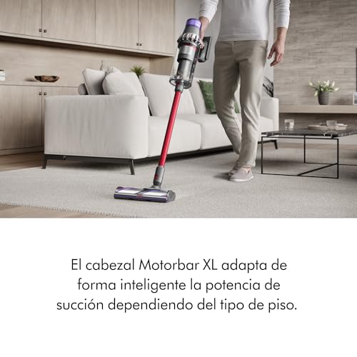 Dyson Aspiradora Outsize Origin