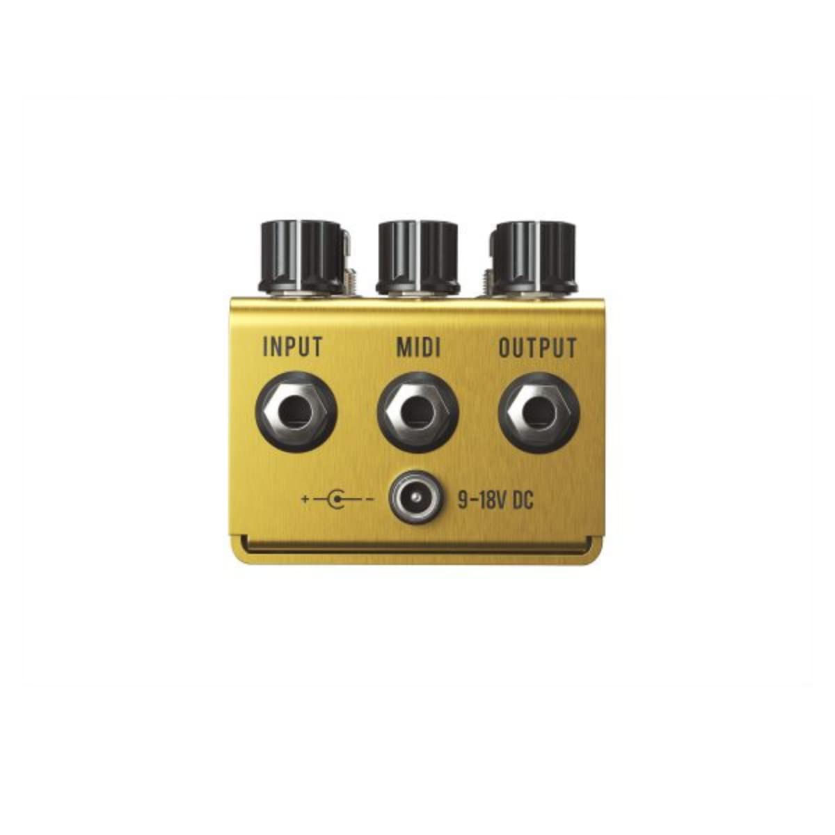 Jackson Audio dorado Boy - Pedal de efectos de guitarra transparente (GOLDENBOY)