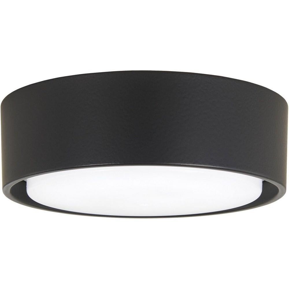 Kit de Luz Simple Minka-Aire Carbón para F787