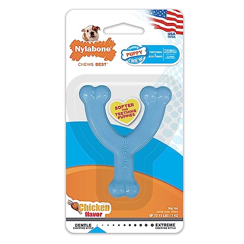Juguete Masticable para Cachorros Nylabone Azul Petite Wishbone