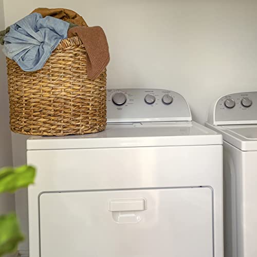 Ingenuity AnyWay Sway OM-9M, Silla Mesedora para bebé, color gris