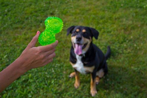 Hyper Pet Dura-Squeaks Bone Dog Toy