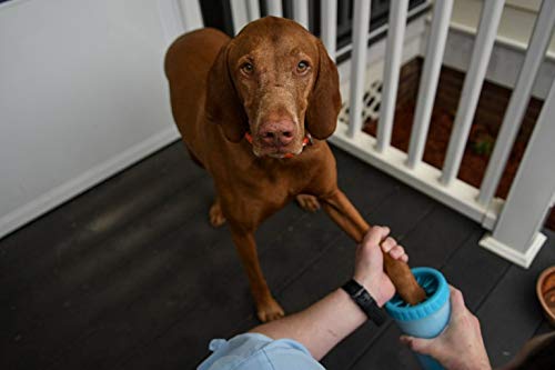 Dexas MudBuster Limpiador portátil para patas de perro, Azul, Mediano