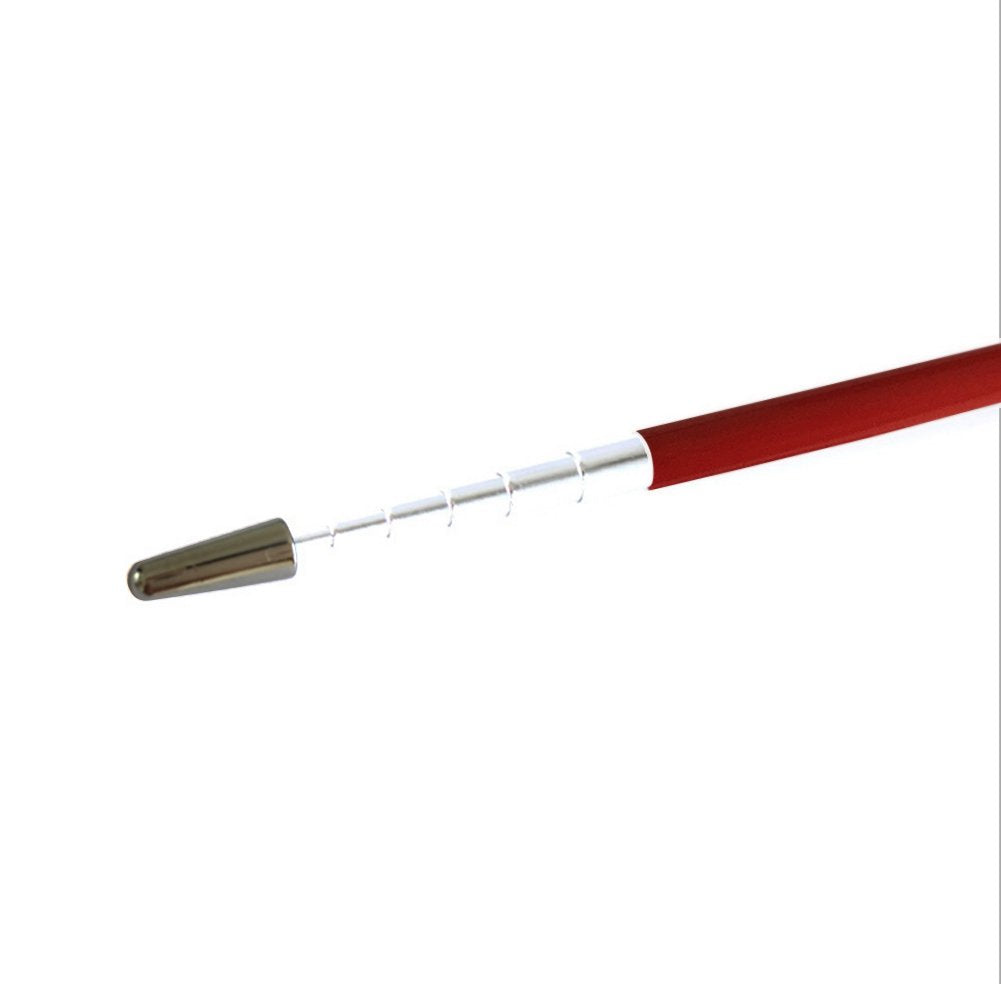 Puntero para Presentaciones Pointer Negro Mate con Detalle Cromo (Rojo)