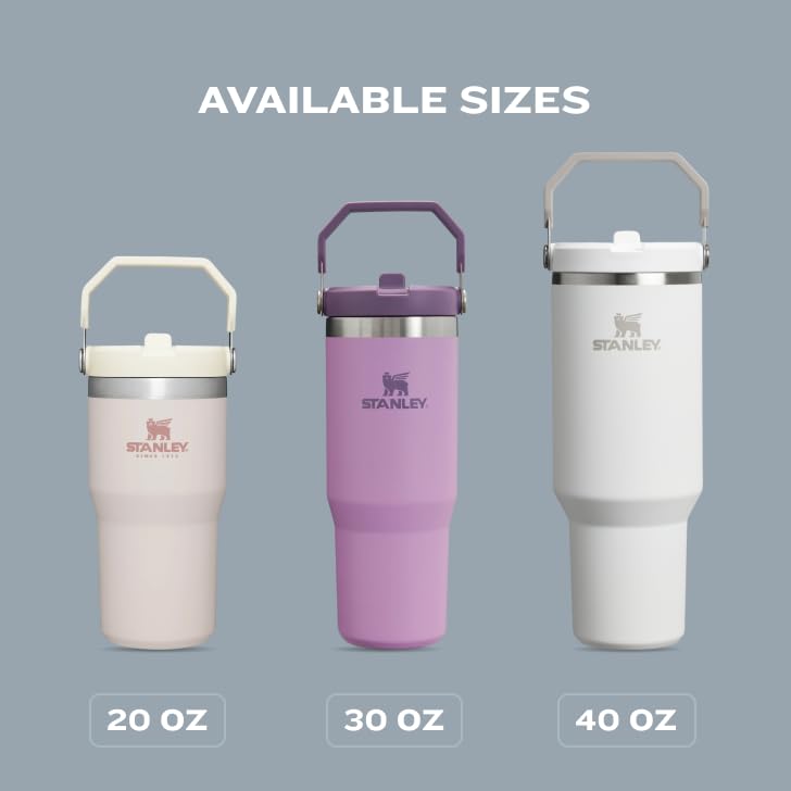 Vaso Stanley ciruela con Asa y Popote Abatible, 20 onzas, Acero Inoxidable Aislado, Resistente a Fugas, sin BPA
