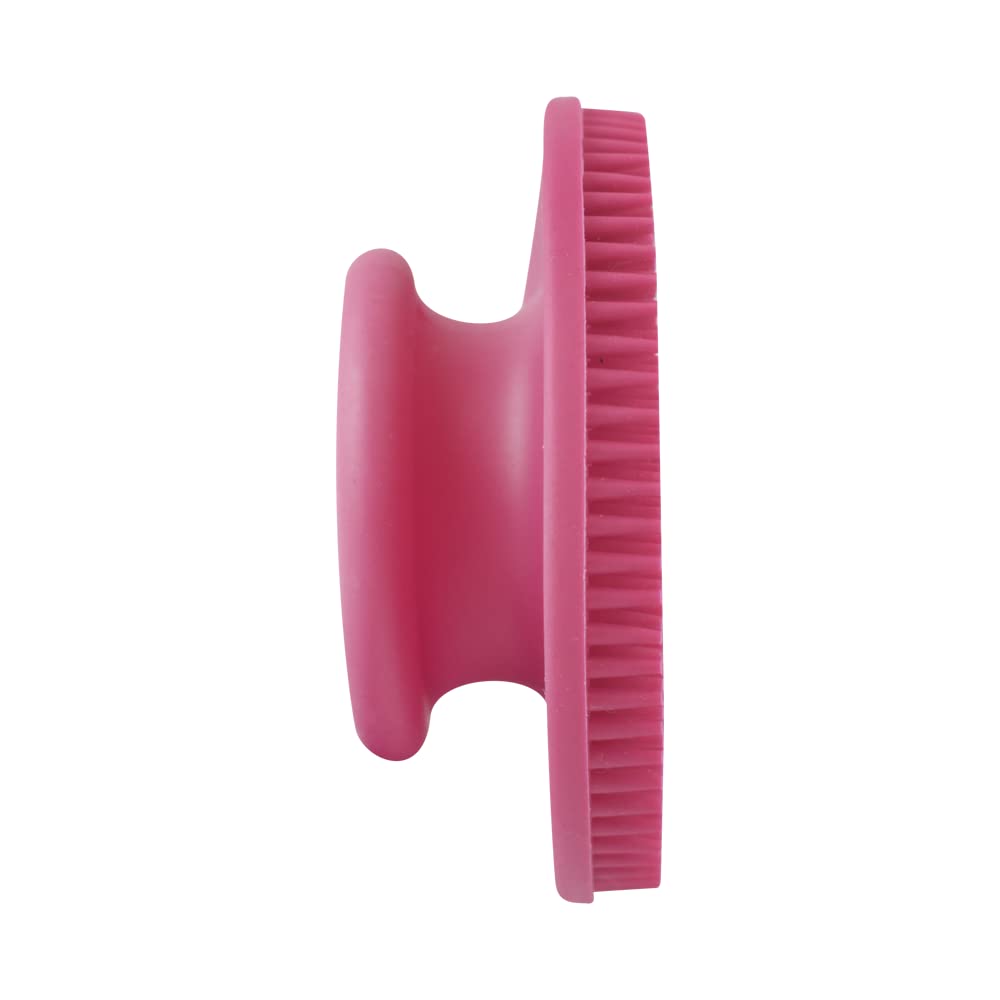 Fancy Pets Expert Grooming Goma Limpiadora de Pelo para Perro