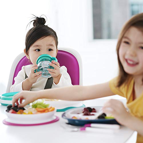 Plato Dividido OXO Tot Rosa Stick & Stay