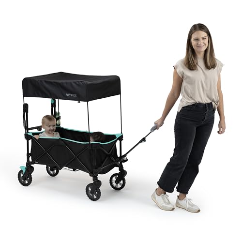 Cochecito Transportador Summer by Ingenuity Negro Verde Azulado con Techo para Bebés